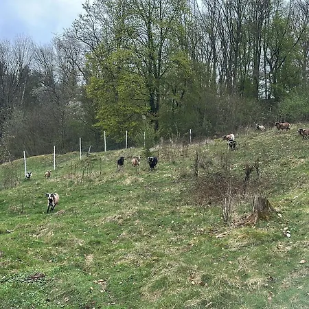 Am Ritzberg Gesamt *
